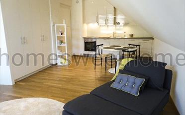 Appartement meublé 1.5 pièces - image - 2