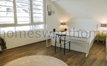 Appartement meublé 1.5 pièces - image - 1
