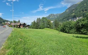 Appartement 3.5 pièces - image - 3