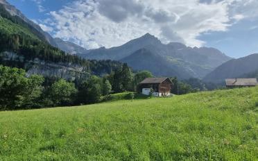 Appartement 3.5 pièces - image - 4