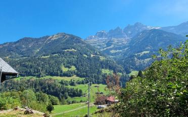 Chalet 5 Zimmer - image - 1