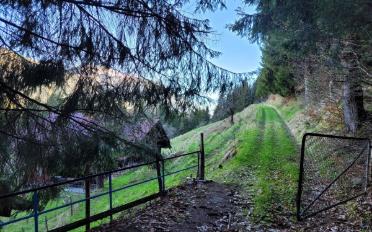 Chalet 6 pièces - image - 10