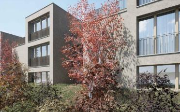 Villa 5.5 Zimmer - image - 8