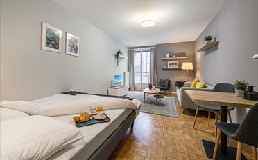 Furnished flat 1 room - image - 1