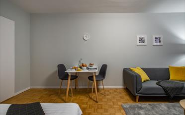 Furnished flat 1 room - image - 4