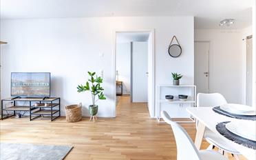 Furnished flat 2 rooms - image - 3