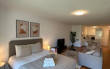 Furnished flat 1 room - image - 1