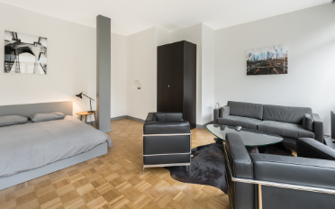 Loft 1 pièce - image - 2