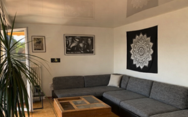 Wohnung 2.5 Zimmer - image - 1