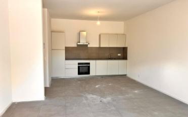 Appartement 2.5 pièces - image - 2