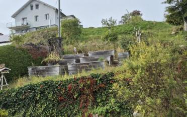 Wohnung 3 Zimmer - image - 12