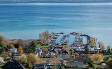 Appartement 3.5 pièces - image - 5