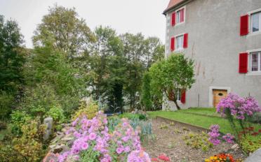 Apartment 3.5 rooms - image - 11