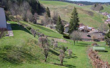 Villa 5.5 Zimmer - image - 11