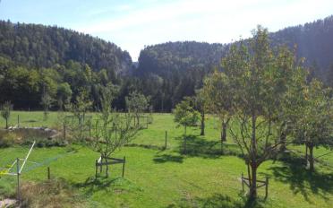 Apartment 1.5 rooms - image - 13