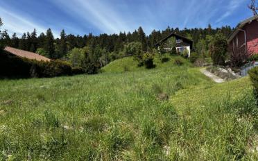 Terrain à bâtir - image - 6