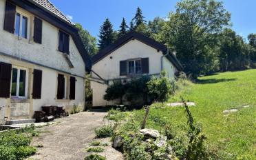 Wohnung 5.5 Zimmer - image - 11