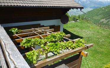 Chalet 5 pièces - image - 4