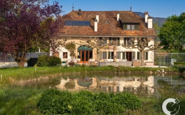 Single house 11 rooms - image - 12