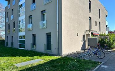 Studio 1.5 pièces - image - 11