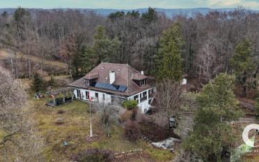 Single house - image - 1