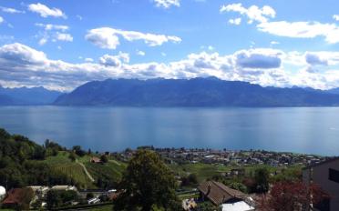 Appartement 4.5 pièces - image - 6