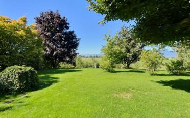 Appartement 2.5 pièces - image - 1