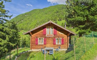 Chalet 3 pièces - image - 2