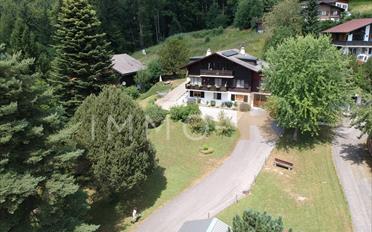 Apartment 5.5 rooms - image - 2