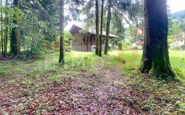 Chalet 4.5 Zimmer - image - 3
