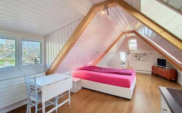 Villa 12.5 Zimmer - image - 11