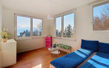 Villa 12.5 Zimmer - image - 13
