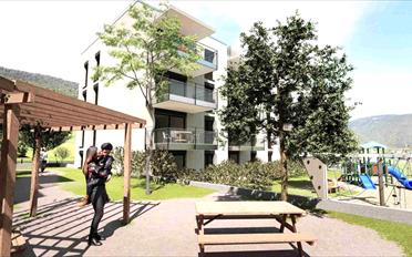 Apartment - image - 4