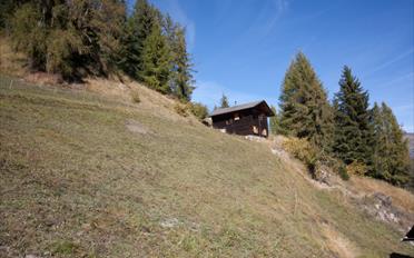 Chalet 3.5 rooms - image - 9