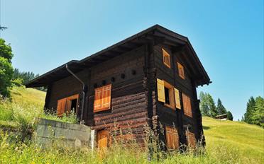 Chalet 4.5 Zimmer - image - 5