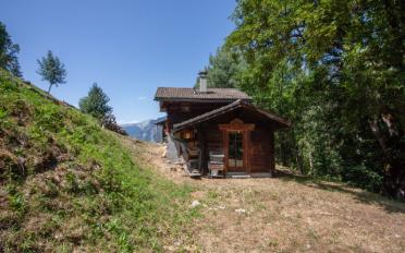 Chalet 2.5 rooms - image - 1