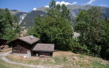 Chalet 2.5 rooms - image - 3
