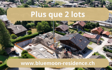 Attique 5.5 pièces - image - 3