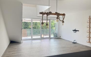 Duplex 3.5 rooms - image - 2