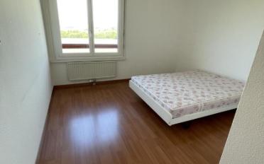 Apartment - image - 7