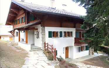 Chalet 8 pièces - image - 1