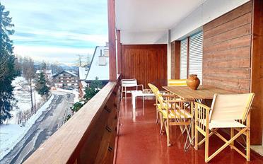 Wohnung 3 Zimmer - image - 2