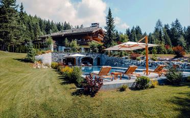 Chalet 18 pièces - image - 1