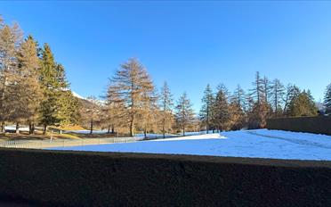 Appartement 3.5 pièces - image - 10