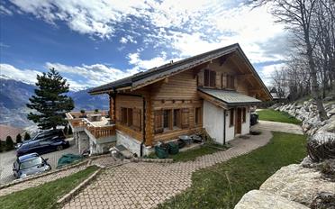 Chalet 8 pièces - image - 2