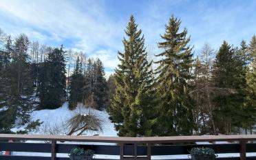 Wohnung 2.5 Zimmer - image - 10