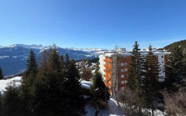 Appartement 5.5 pièces - image - 4