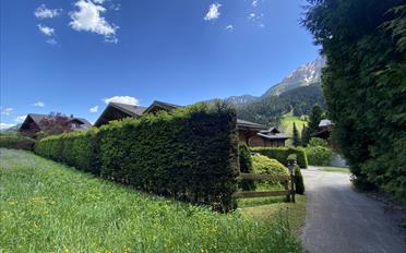 Building land - image - 5