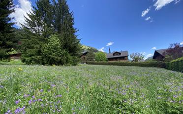 Building land - image - 2