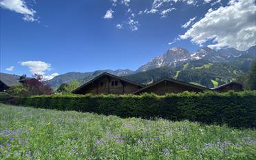 Building land - image - 3